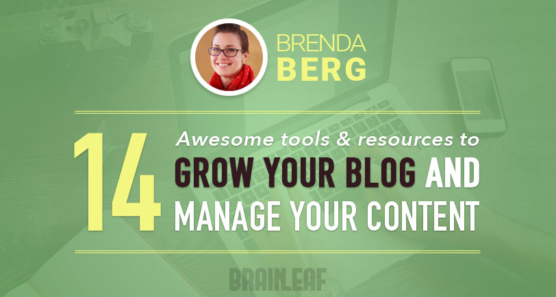 Grow your blog and manage your content