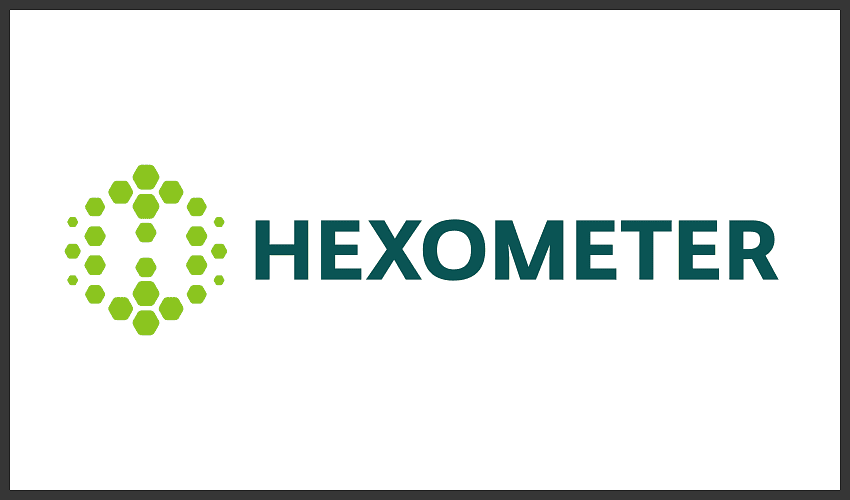 Hexometer Logo